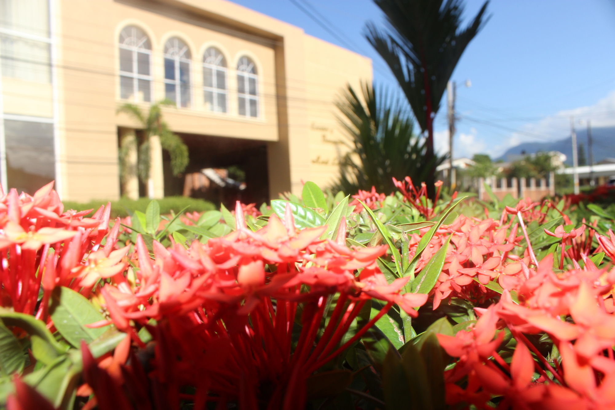 Hotel La Quinta La Ceiba Ngoại thất bức ảnh